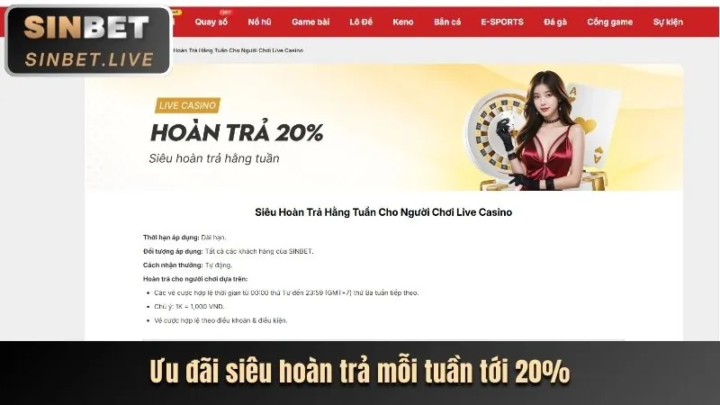Người dùng điền vào biểu mẫu liên hệ vf555